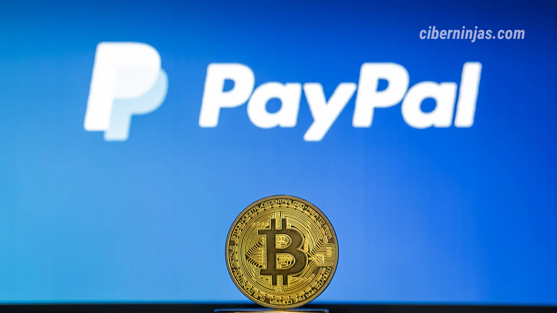 PayPal y su Transaction Graph: el nuevo cerebro de datos que transforma la publicidad