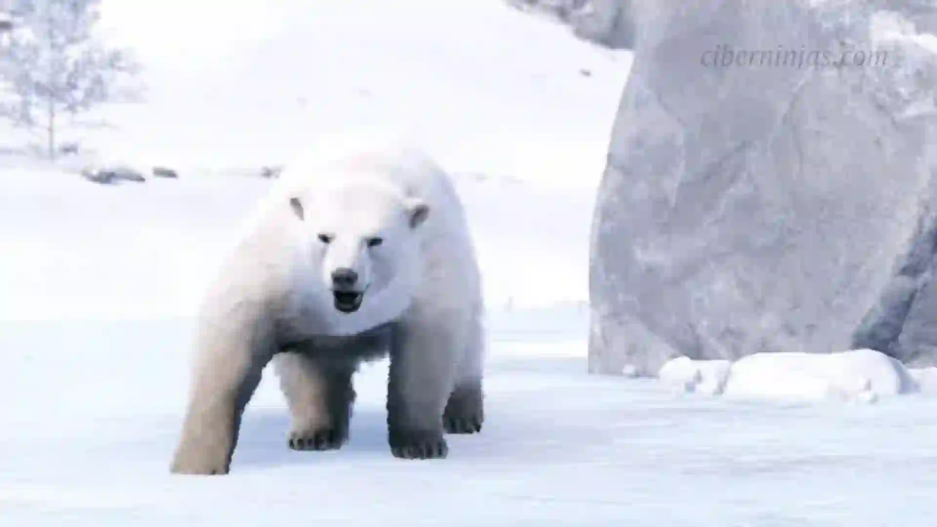 Rust: 5 Animales capaces de Asesinarte