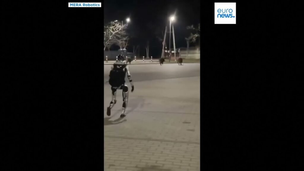 Robot contra Jabalíes: la curiosa escena que sorprendió en Varsovia | Noticias Actualidad Robótica | CIBERED