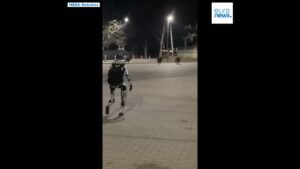 Robot contra Jabalíes: la curiosa escena que sorprendió en Varsovia | Noticias Actualidad Robótica | CIBERED