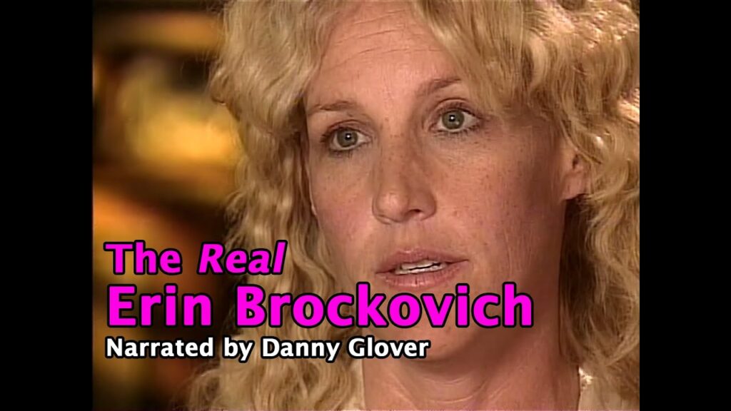 Erin Brockovich lidera la protesta contra los Centros de Datos y sus graves problemas de contaminación | Activismo Digital y Nuevas Tecnologías | Leído en CIBERED